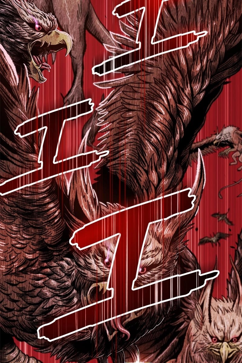 223