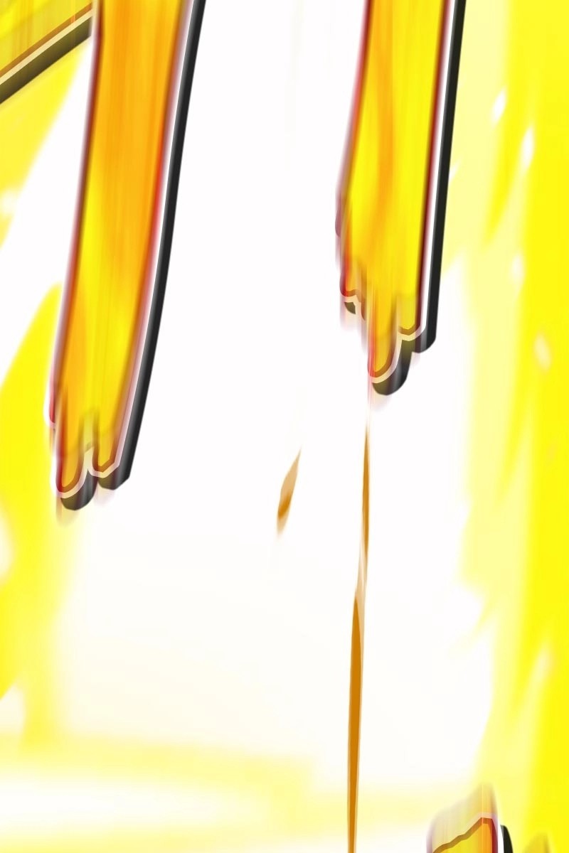 231