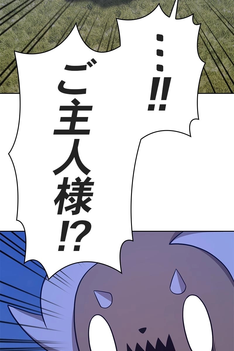 81