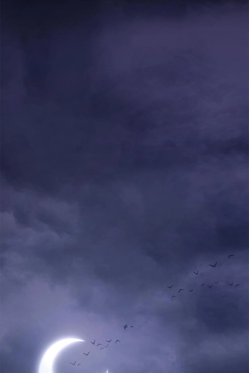 84
