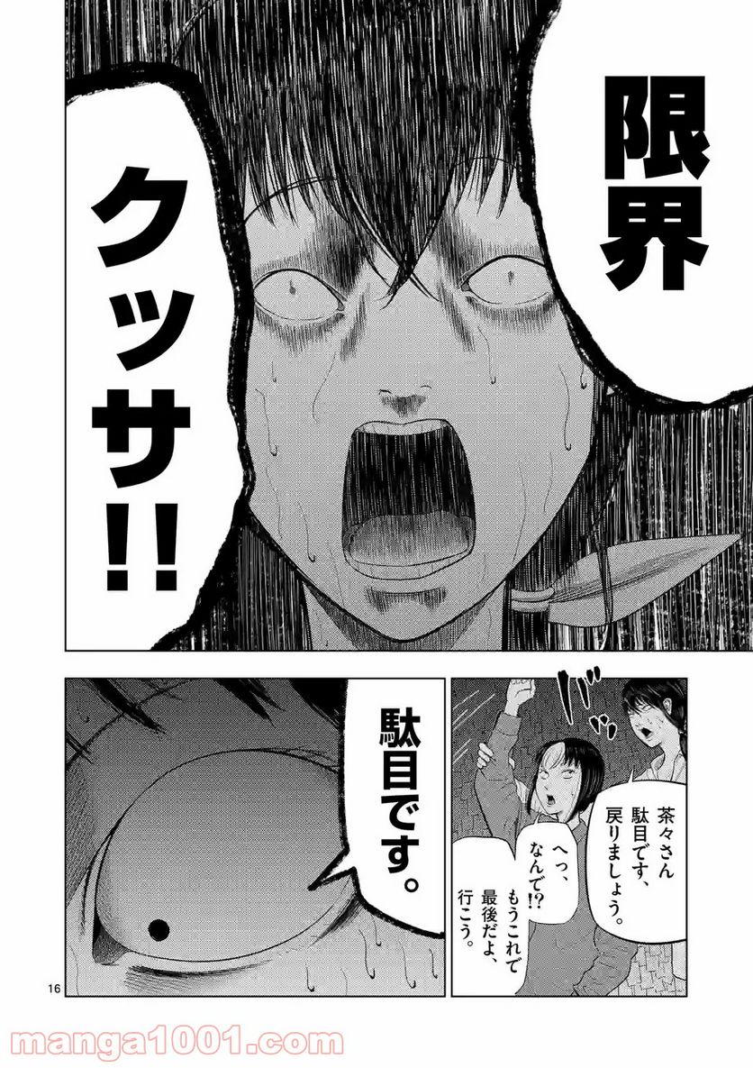 16