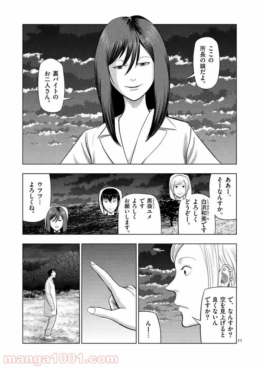 11