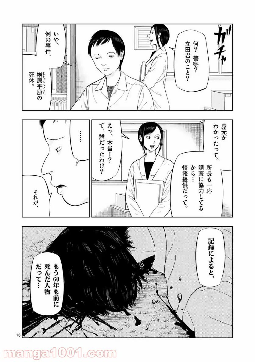 16