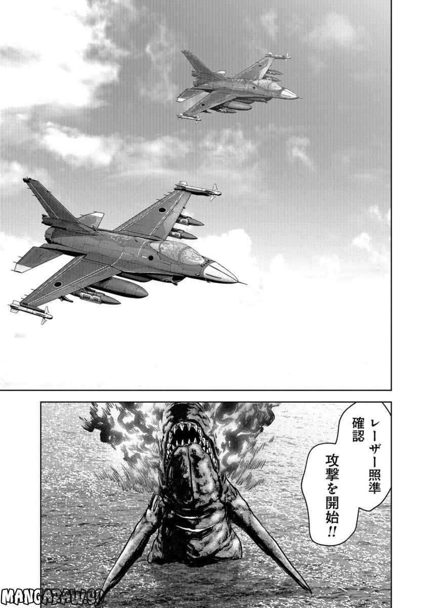 43