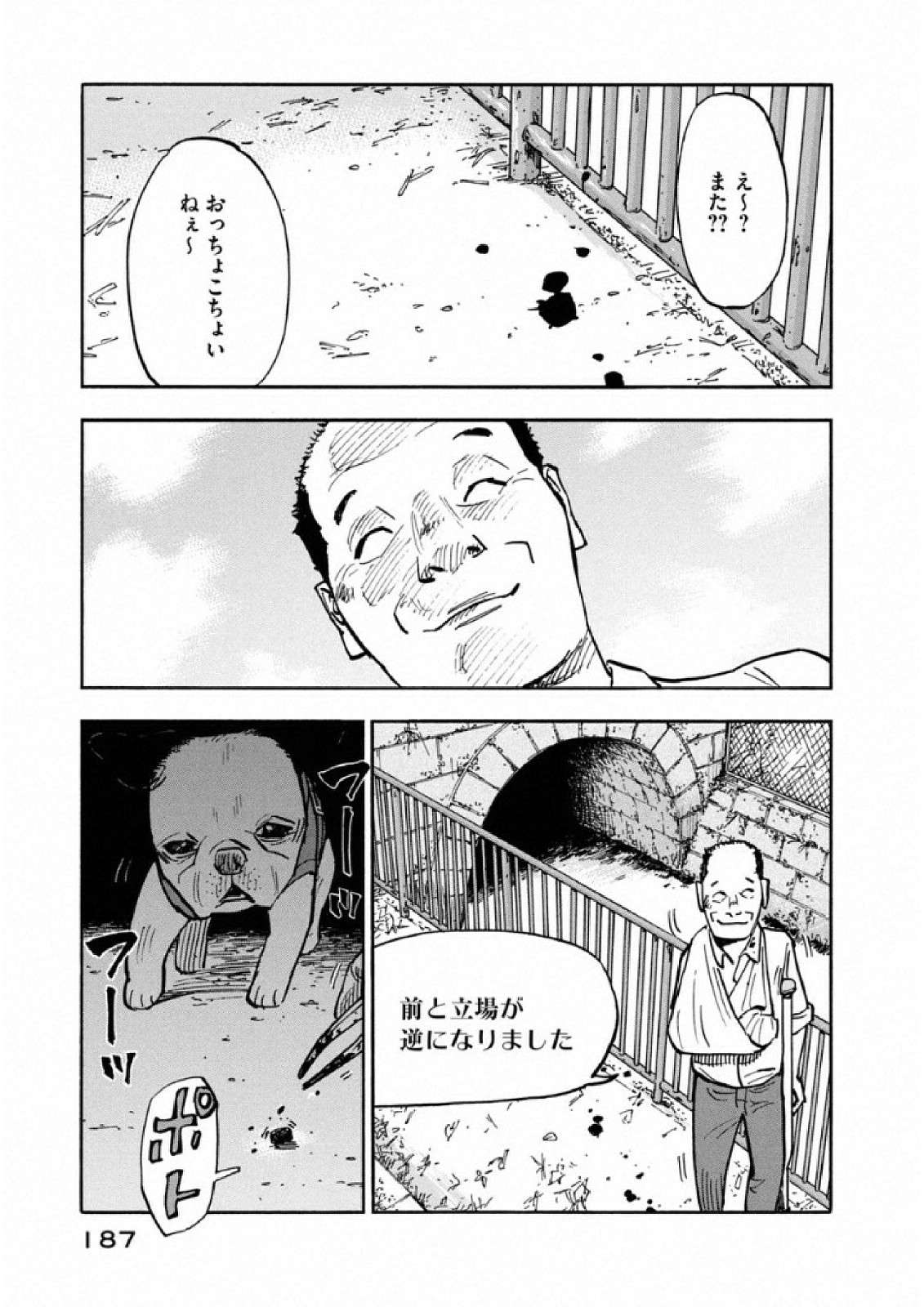 17.jpg