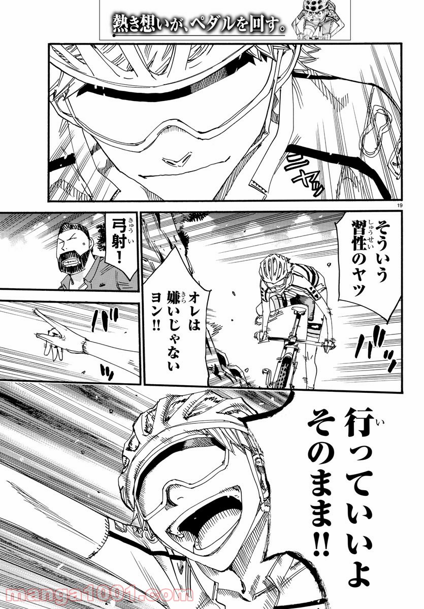 19