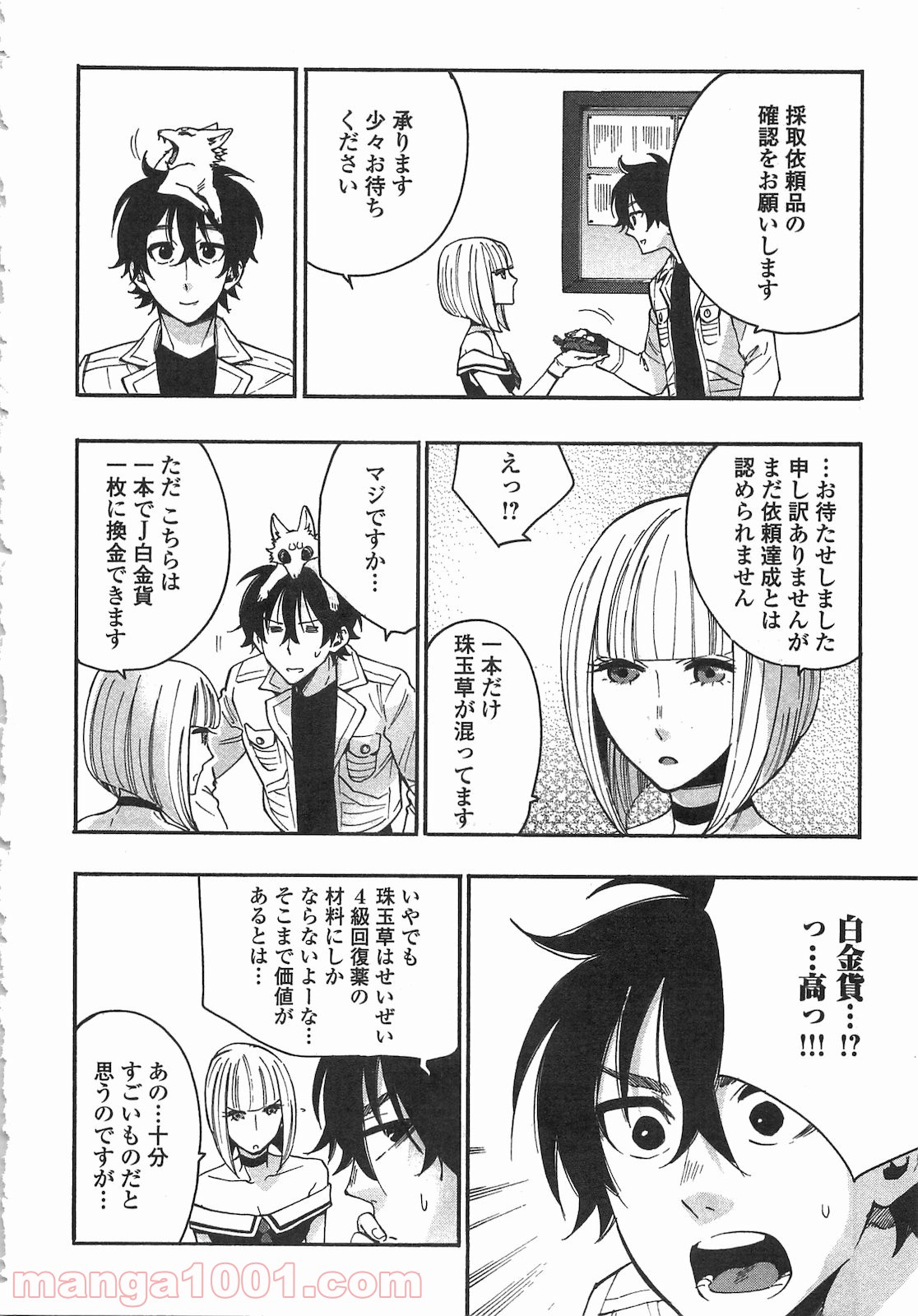THE NEW GATE ザ・ニュー・ゲート 第10話 - Page 14