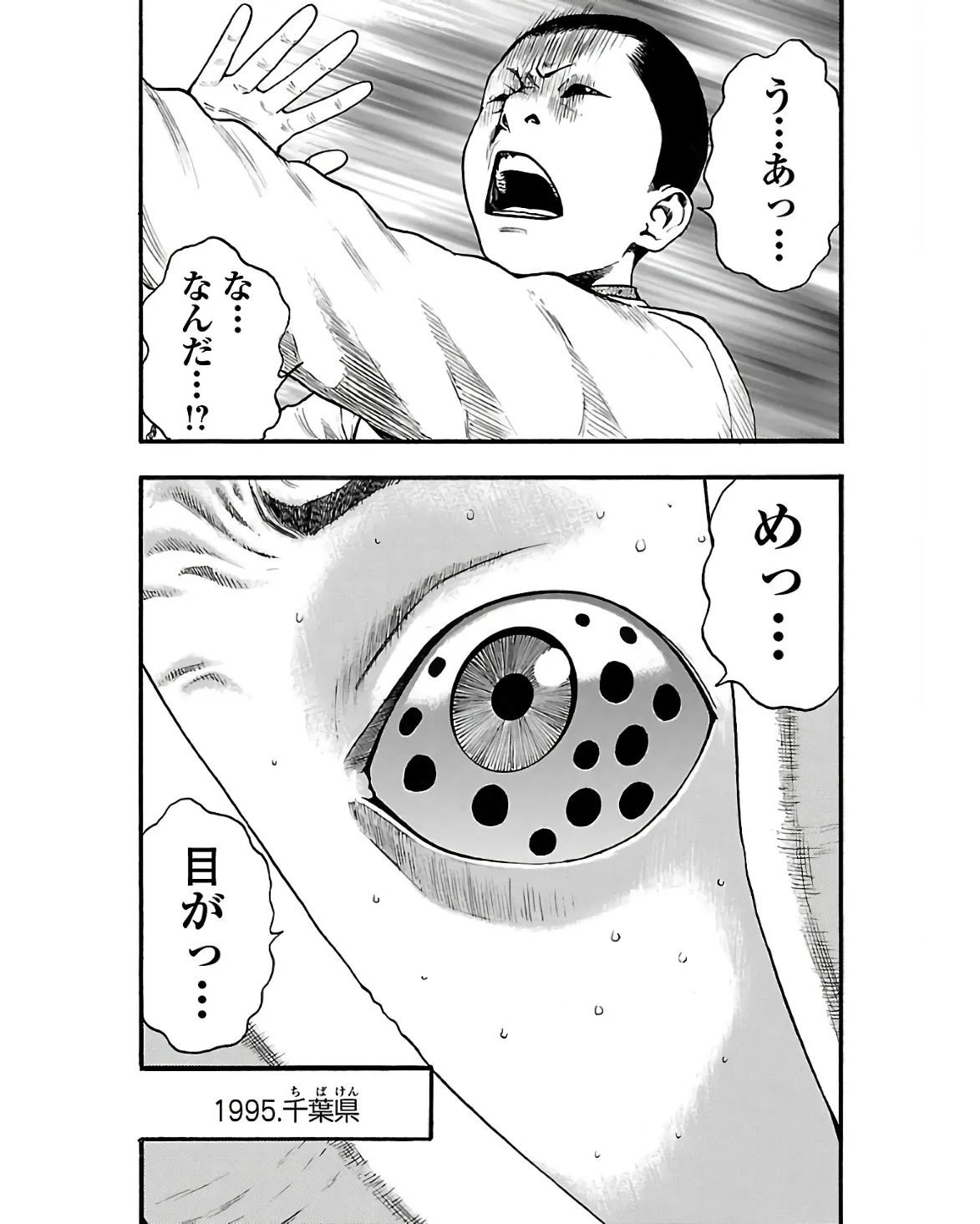 31