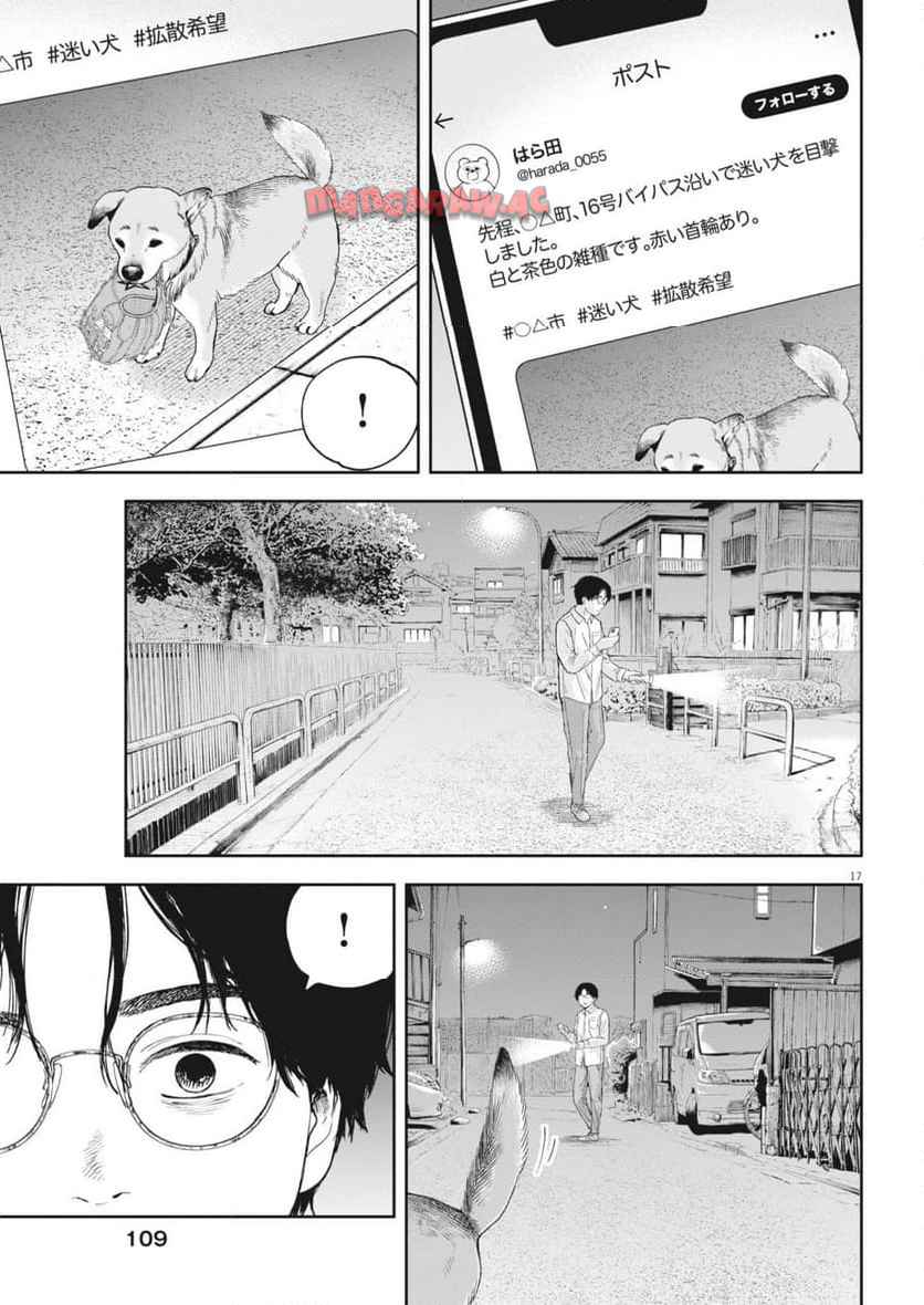 17