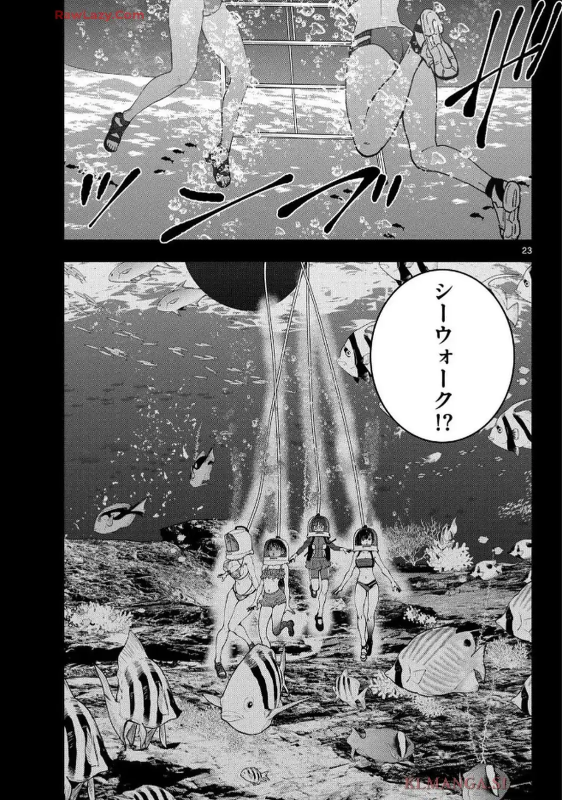 23