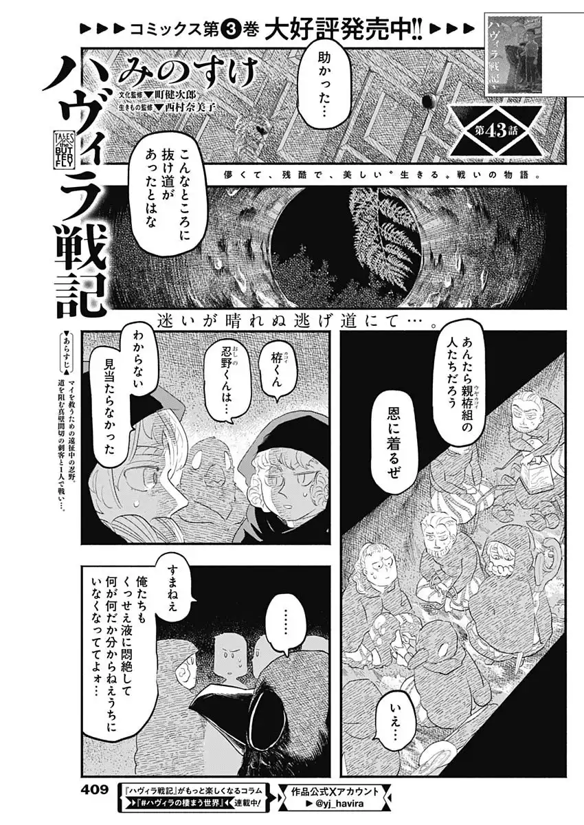 ハヴィラ戦記 第43話 - Page 1