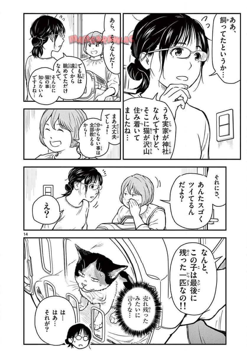 14