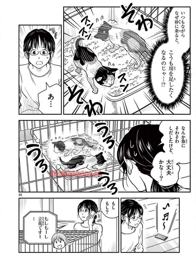 20