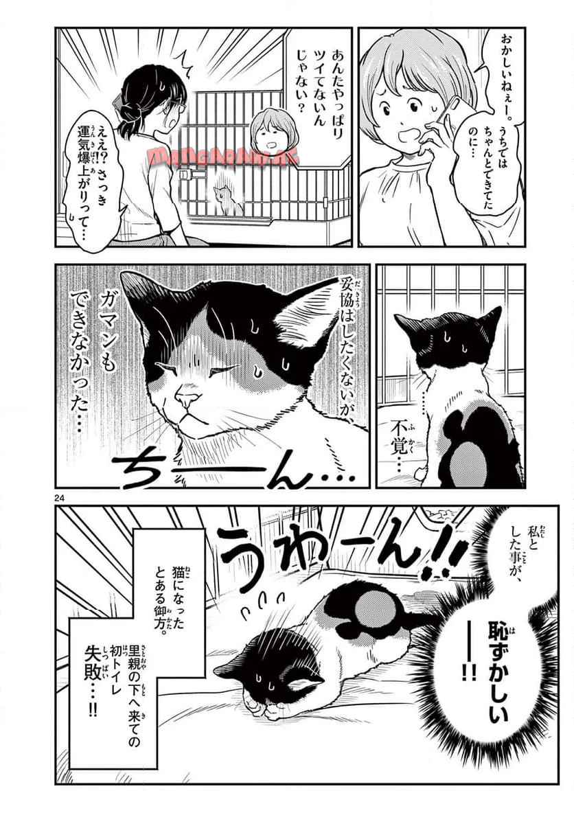 24