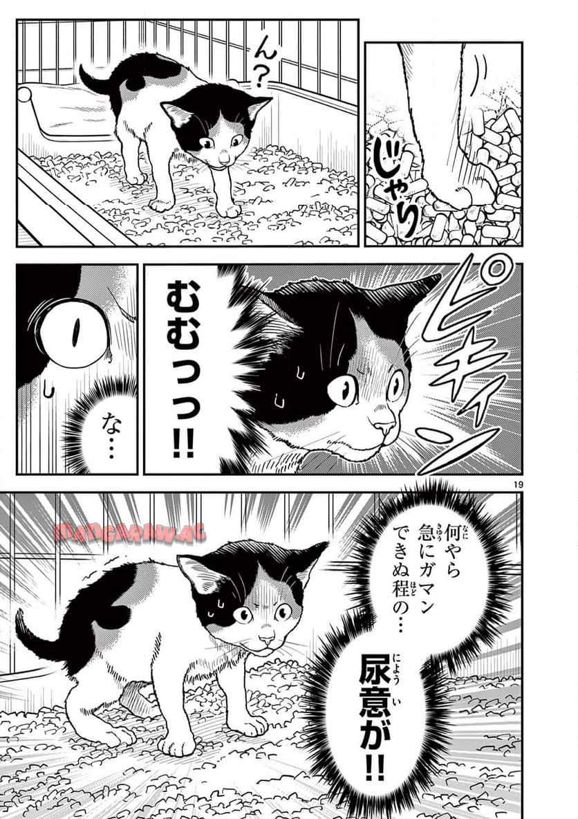 19