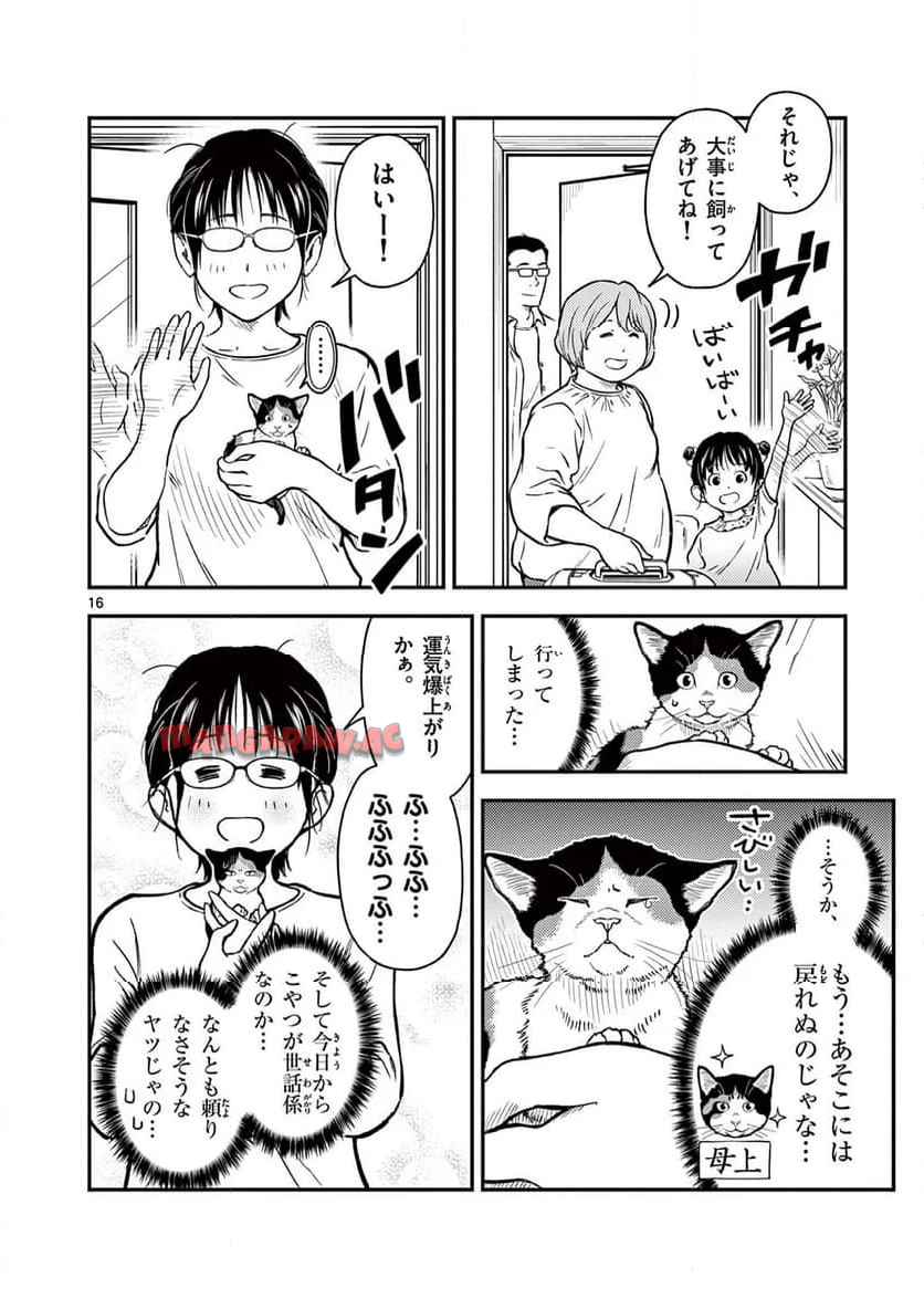 16