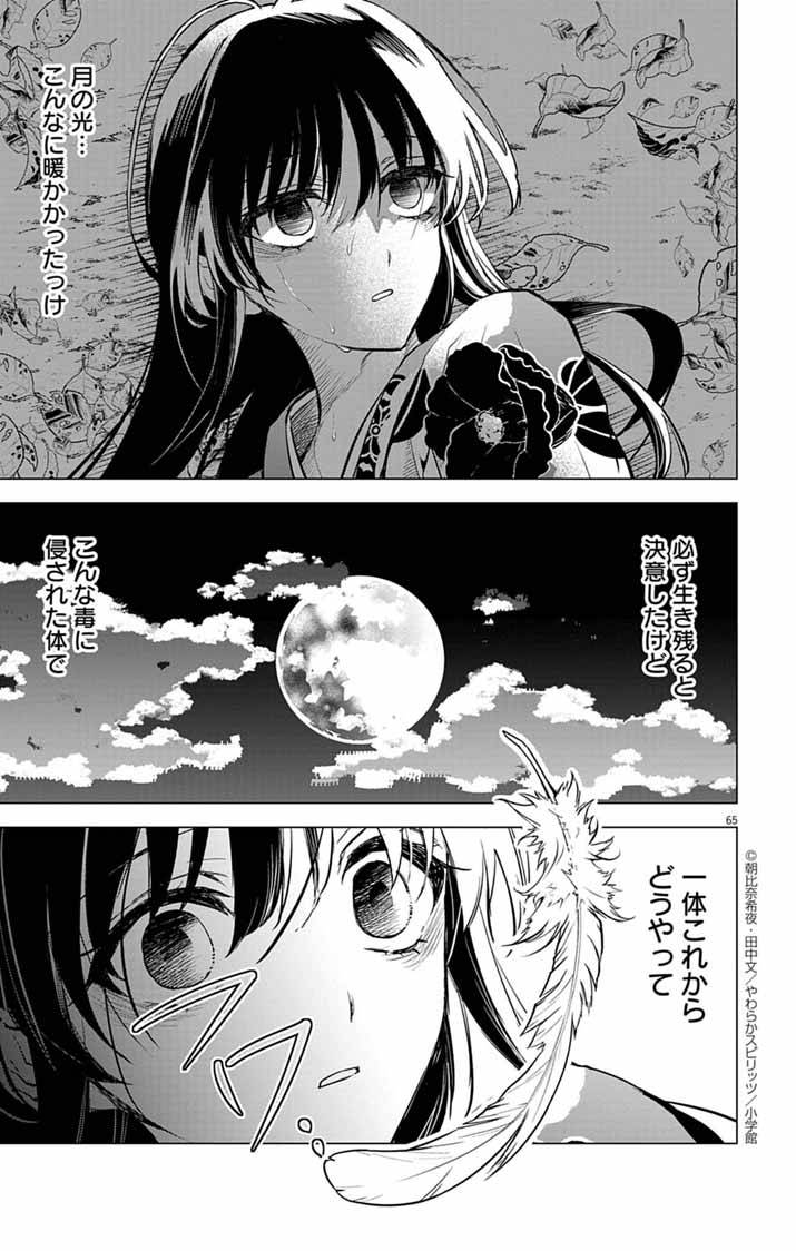 白天狗の贄嫁～毒持ちの令嬢はかりそめの妻となる～ 第1話 - Page 63