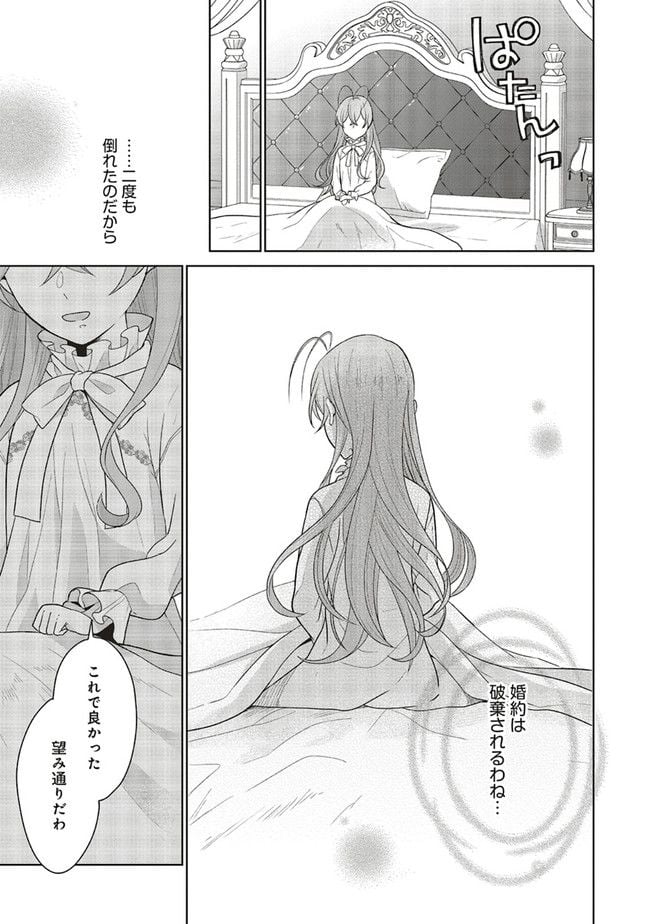 婚約破棄をした令嬢は我慢を止めました 第5話 - Page 29