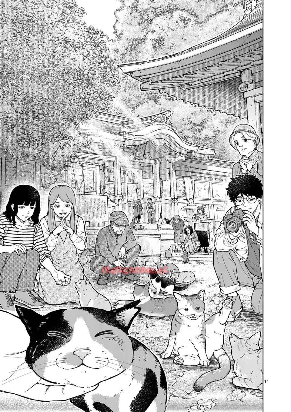 11