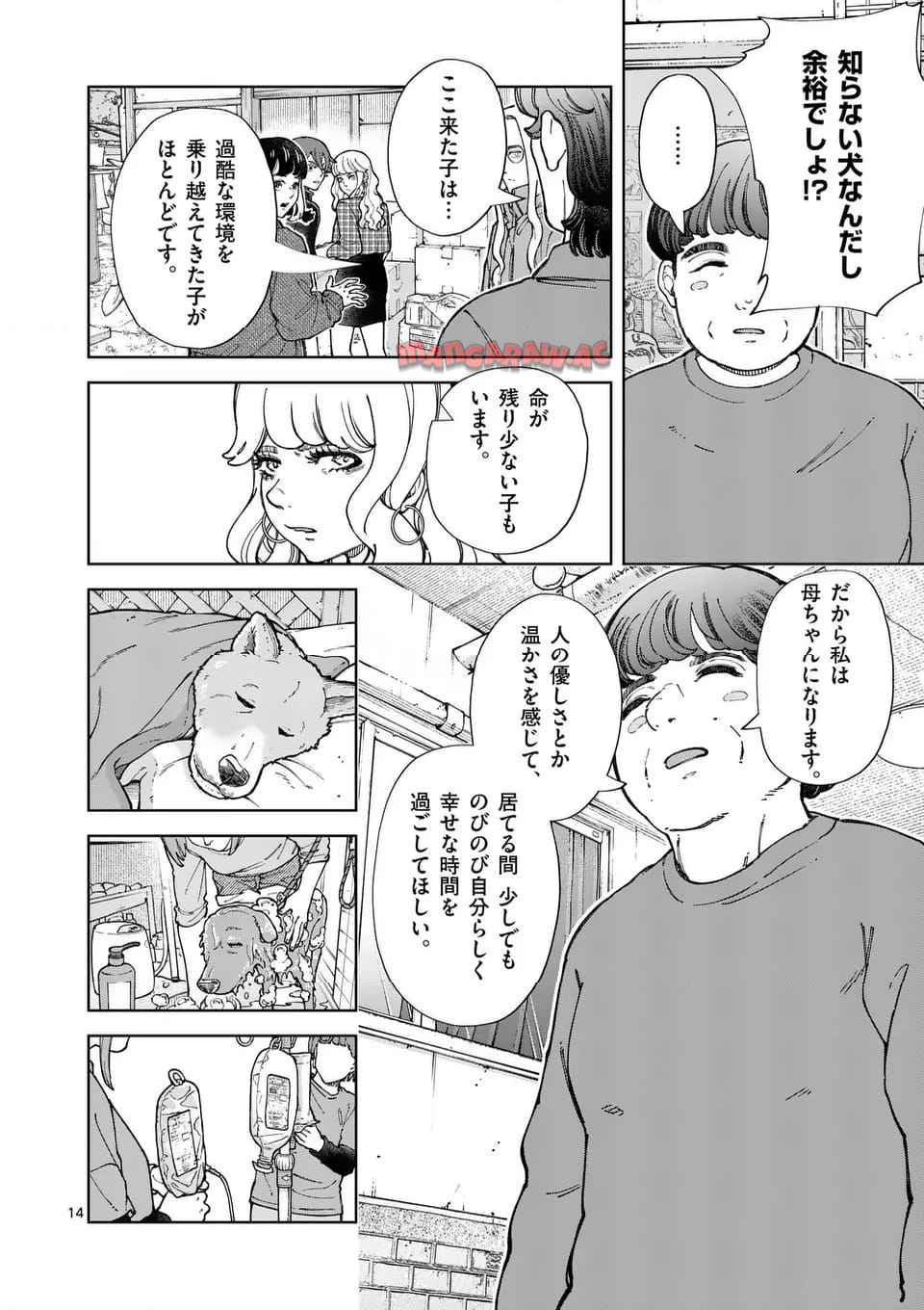 14