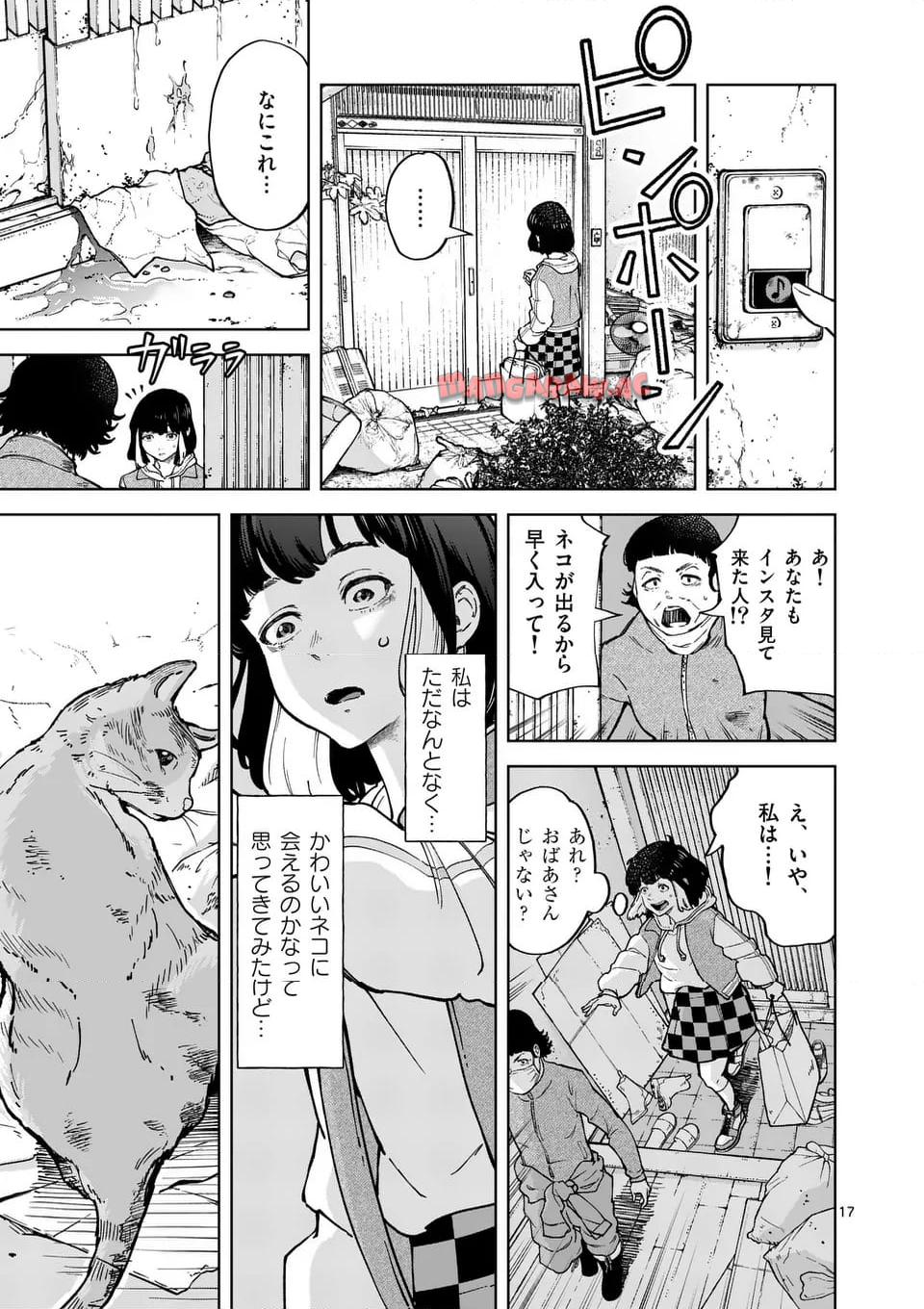 17