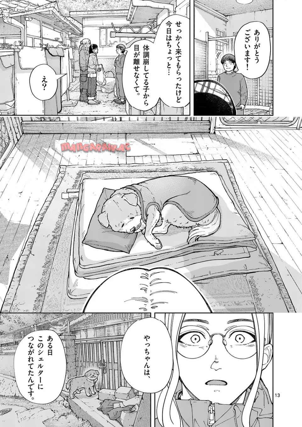 13