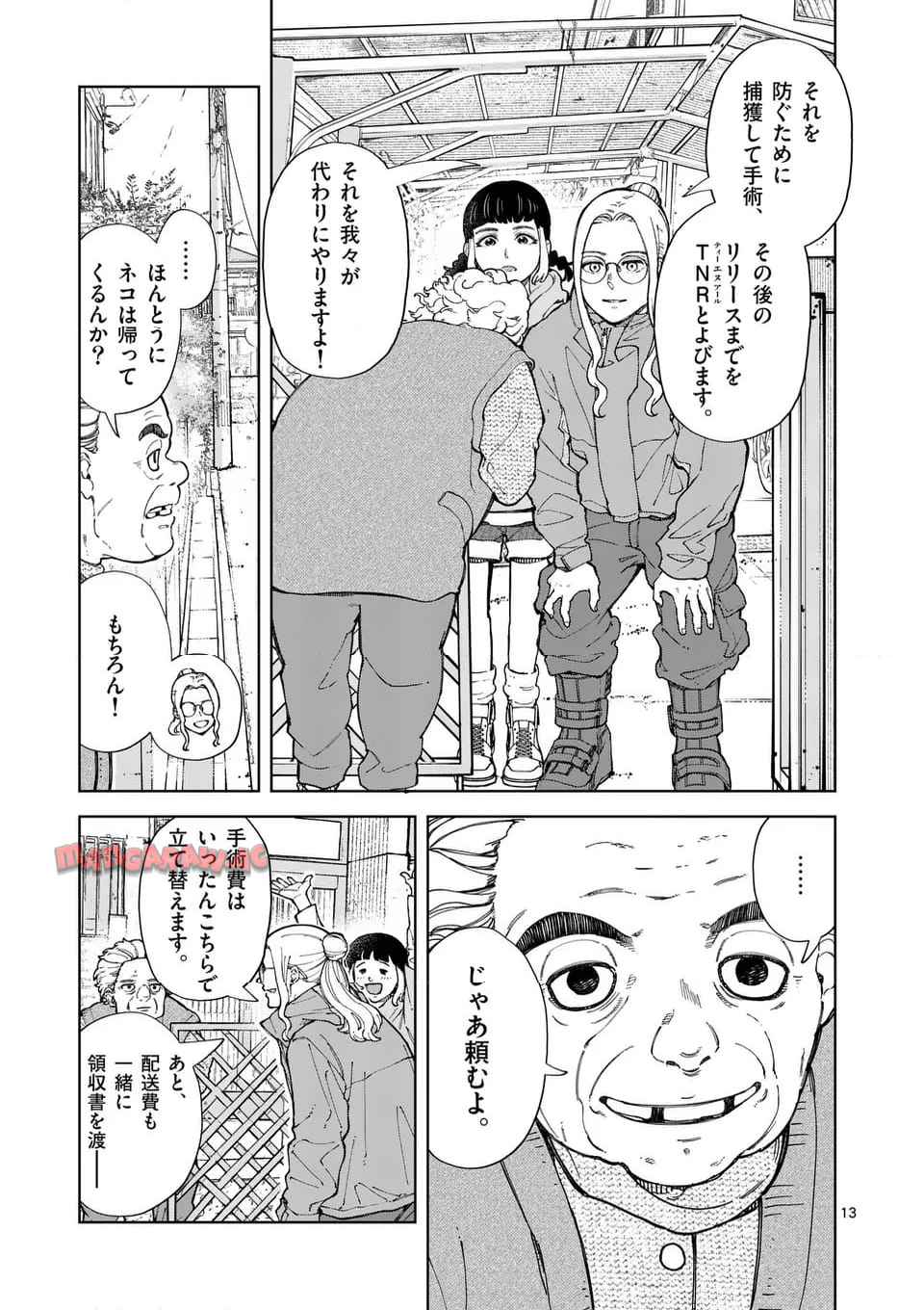 13