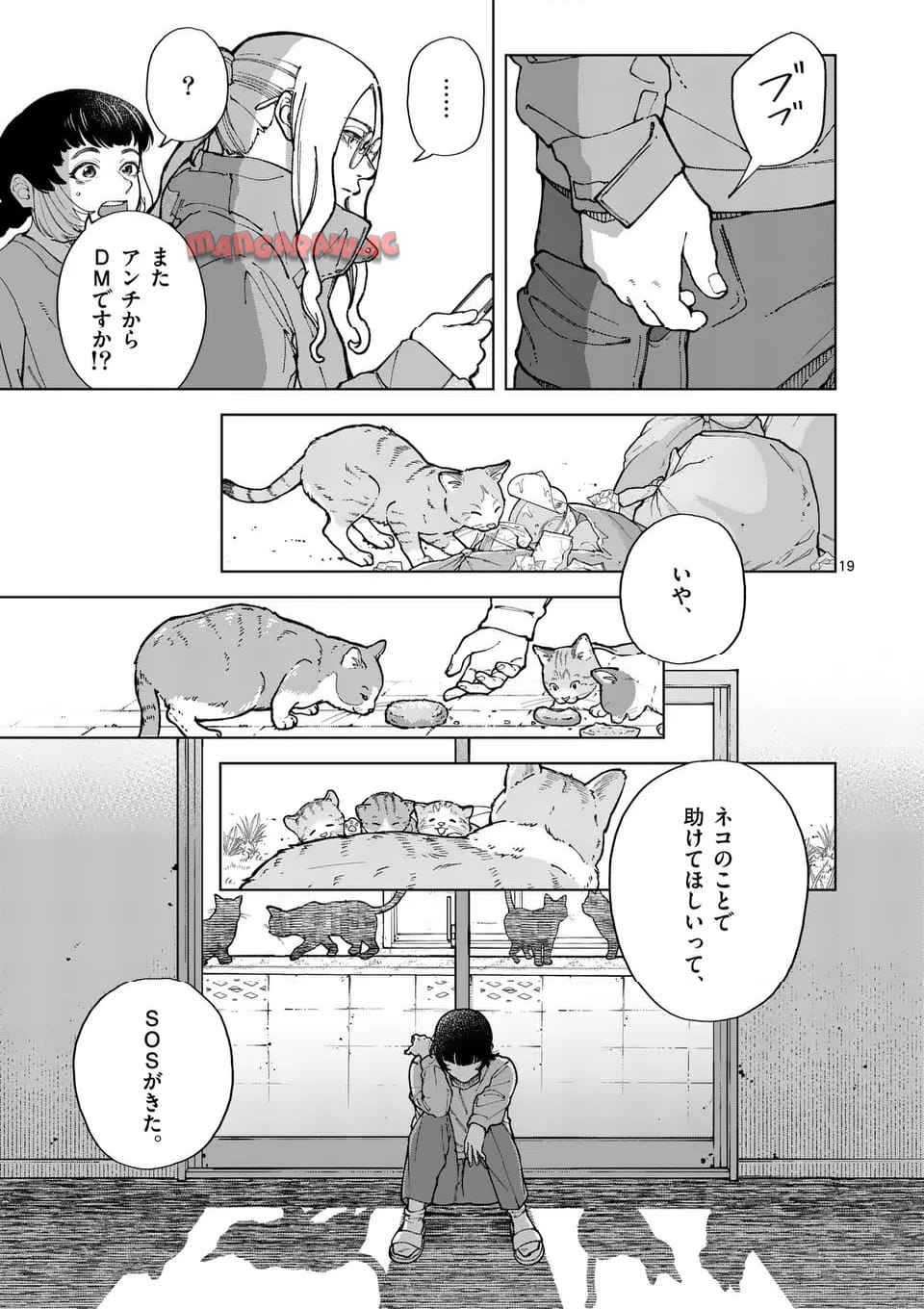 19
