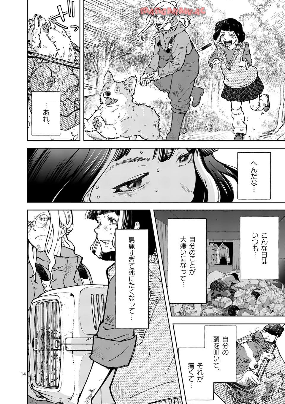 14