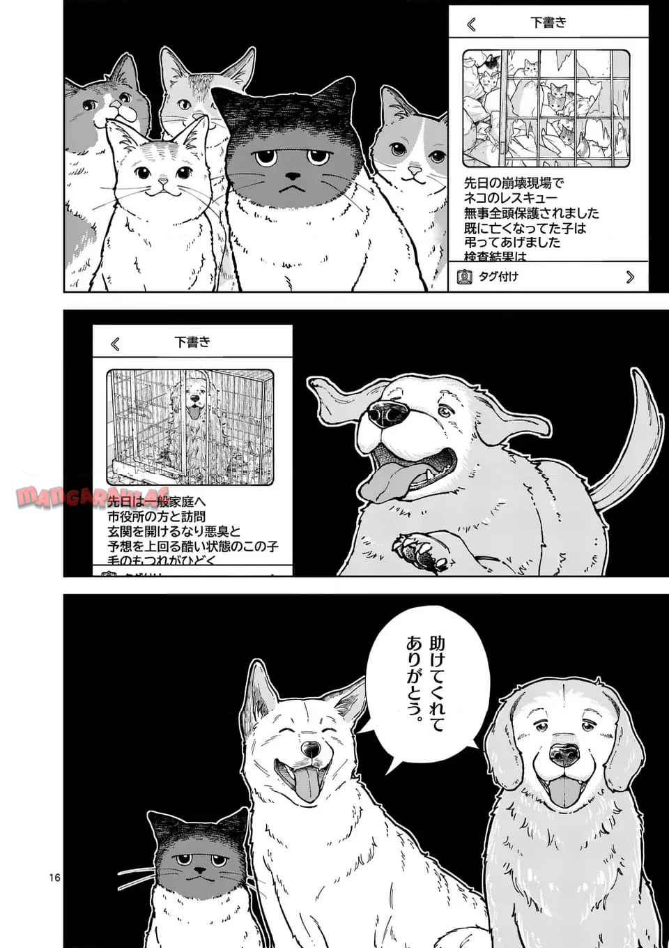 16