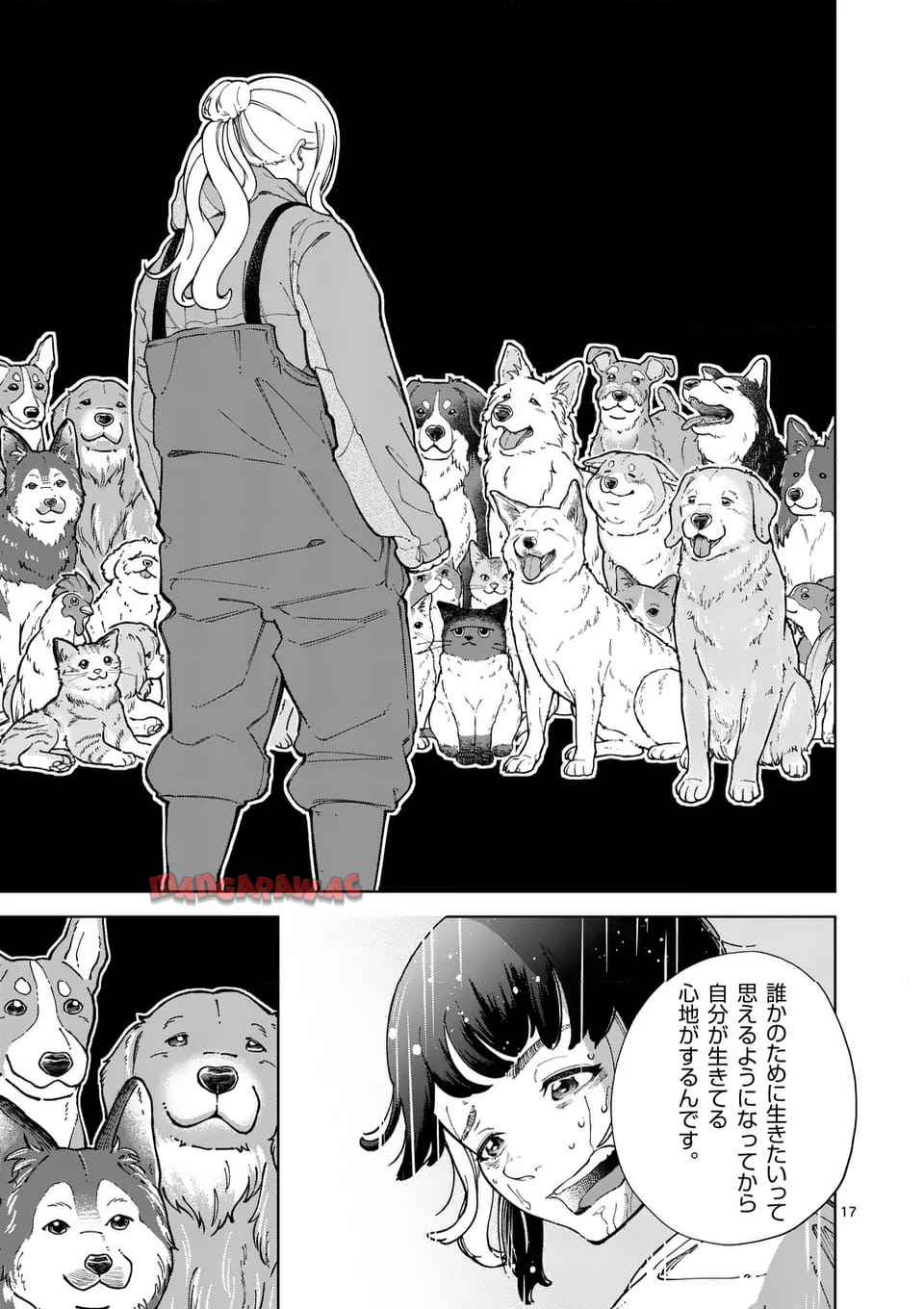 17