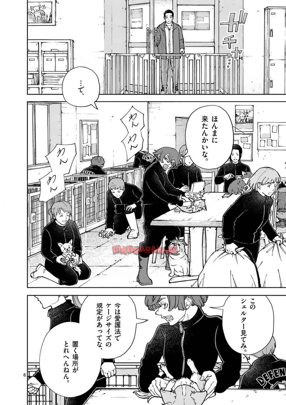 6