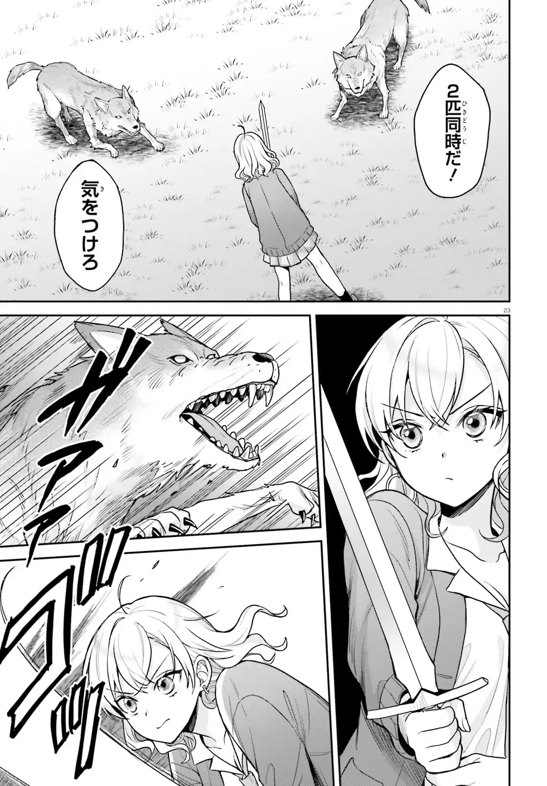 23