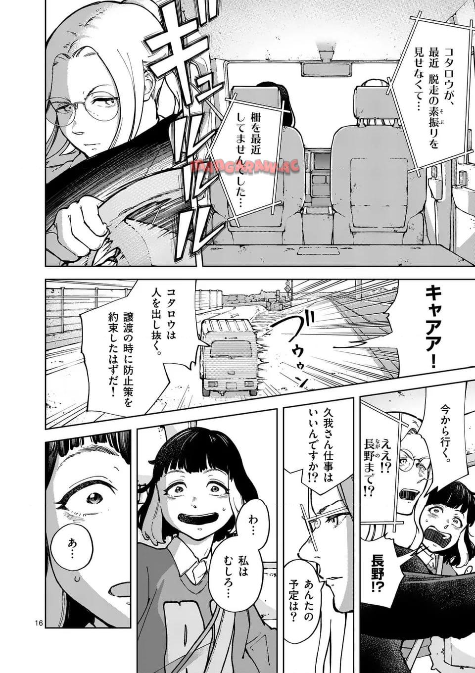 16