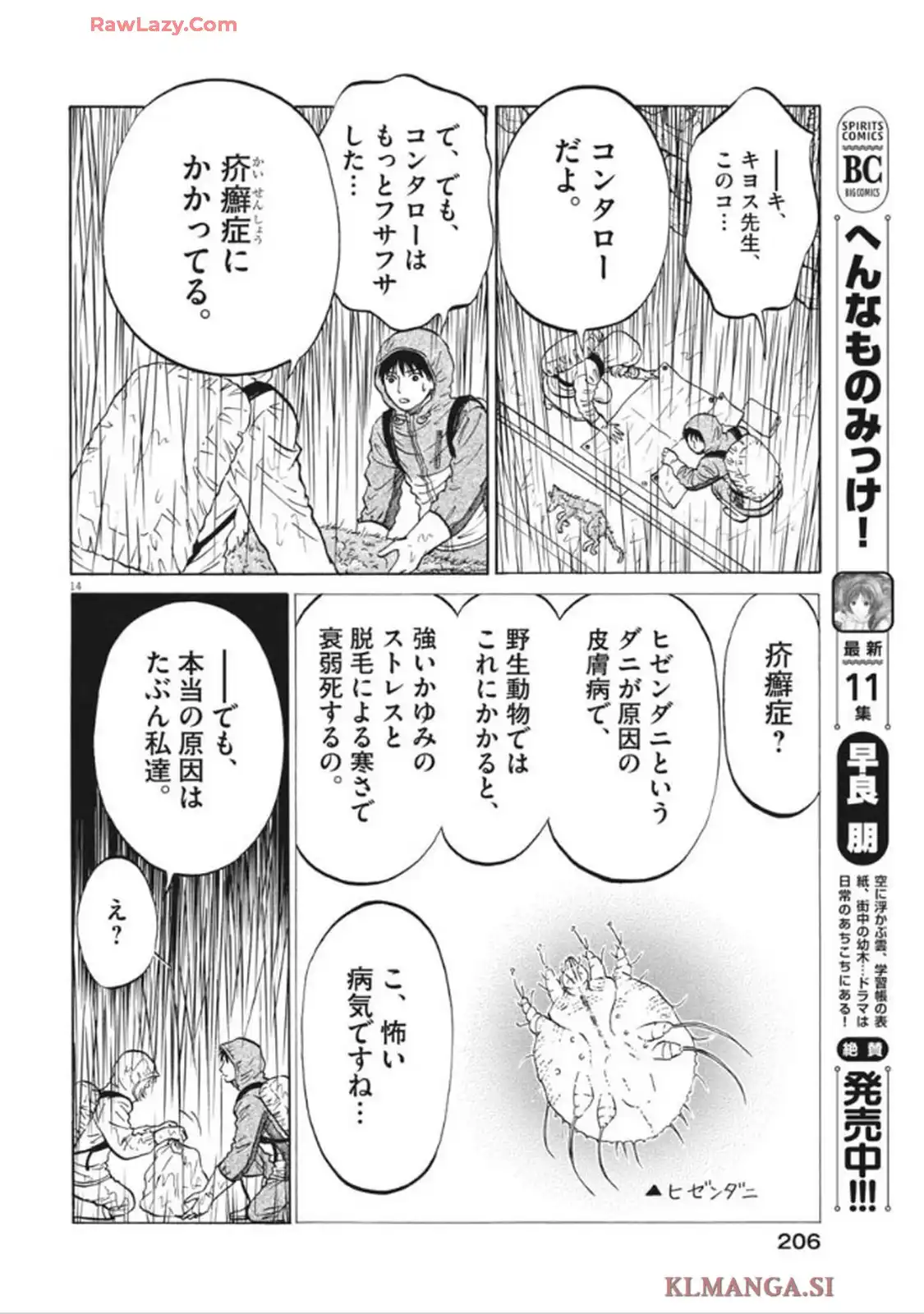14