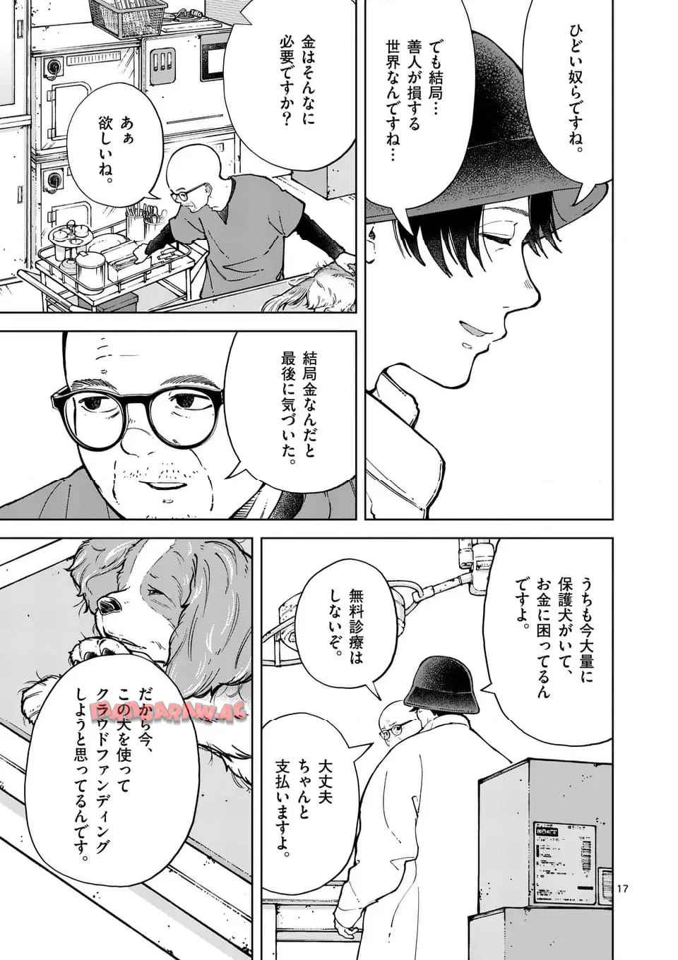 17