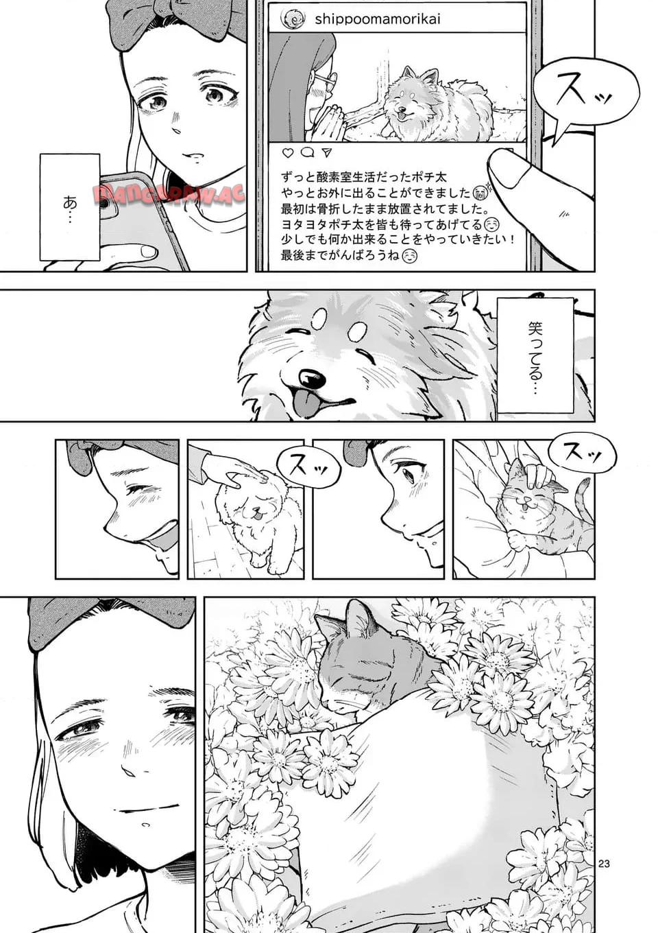 23