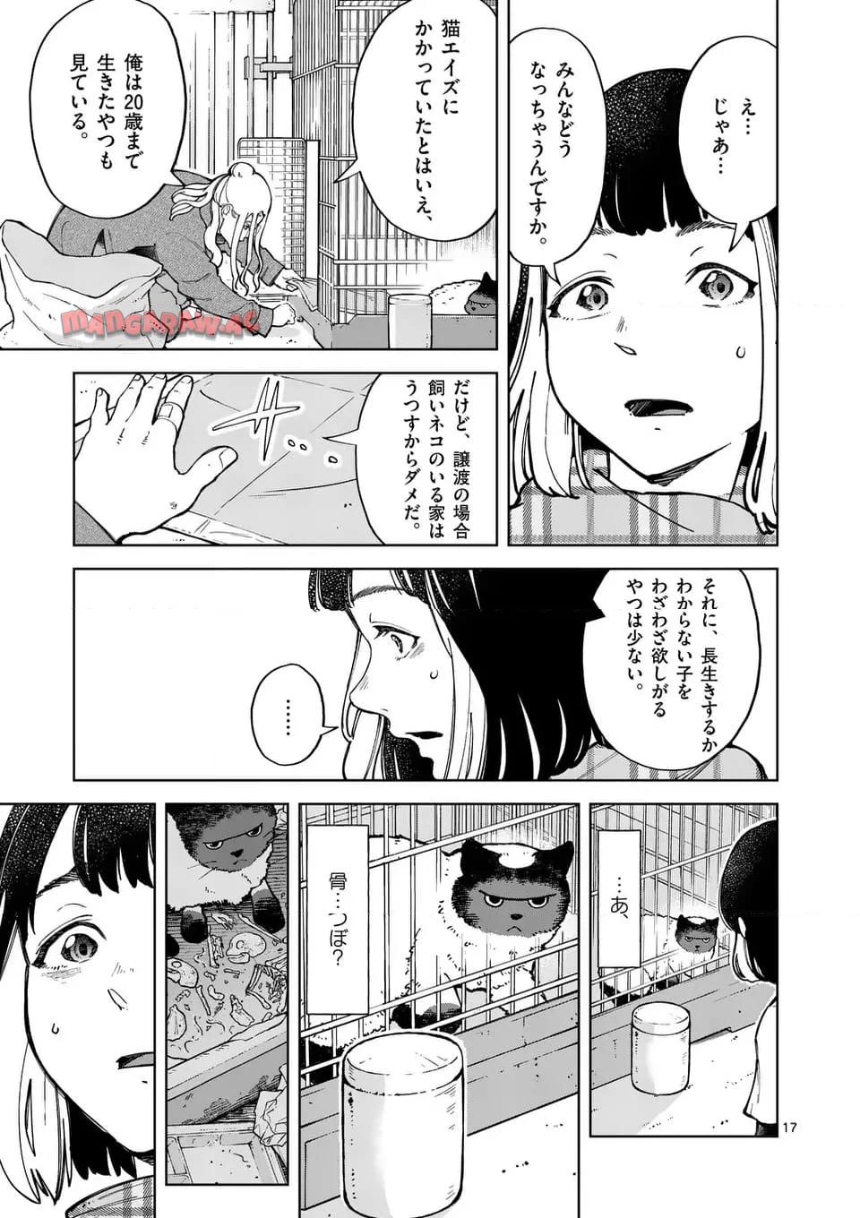 17
