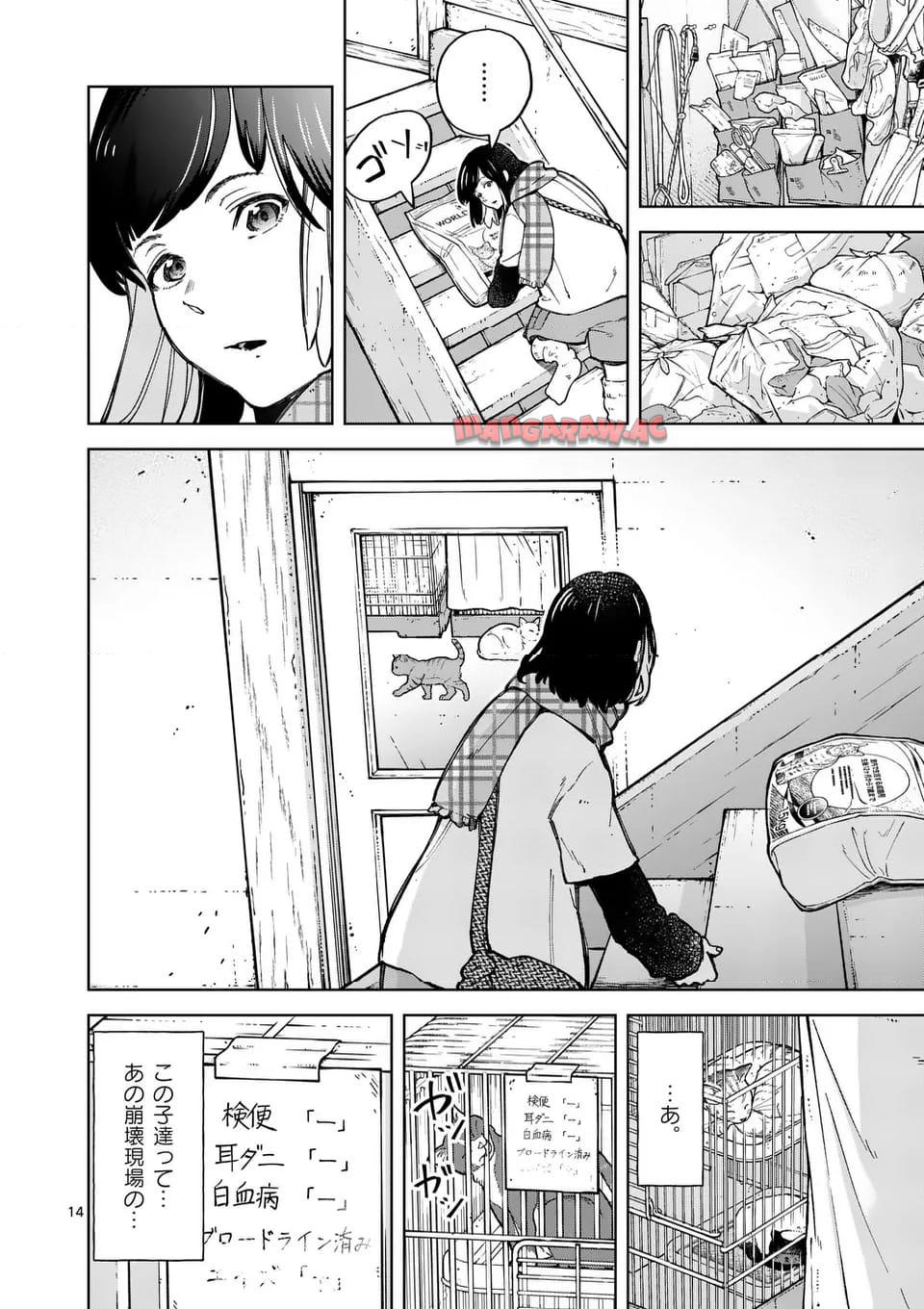 14