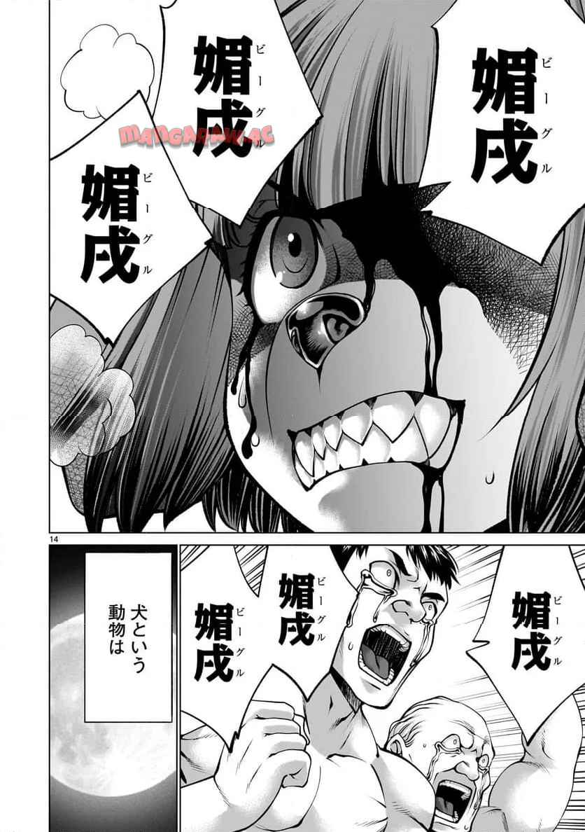 14