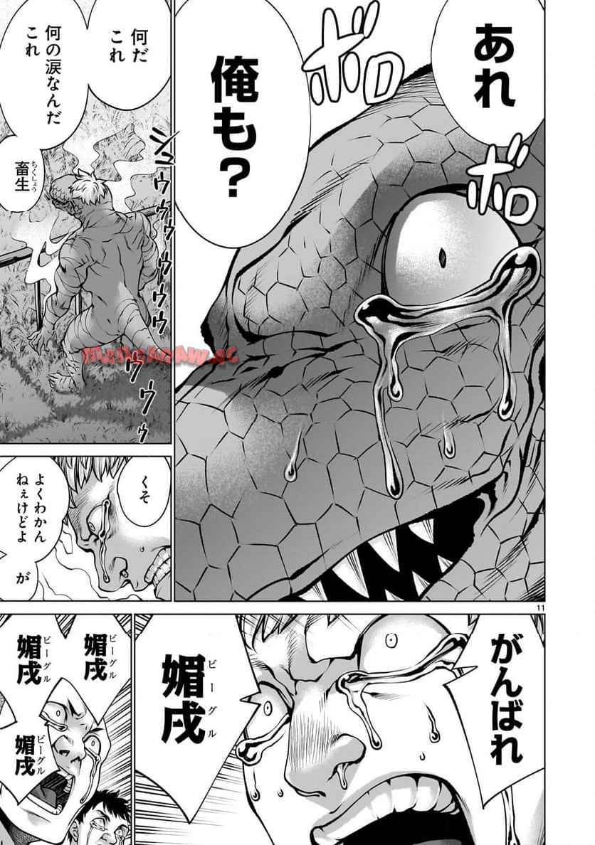 11