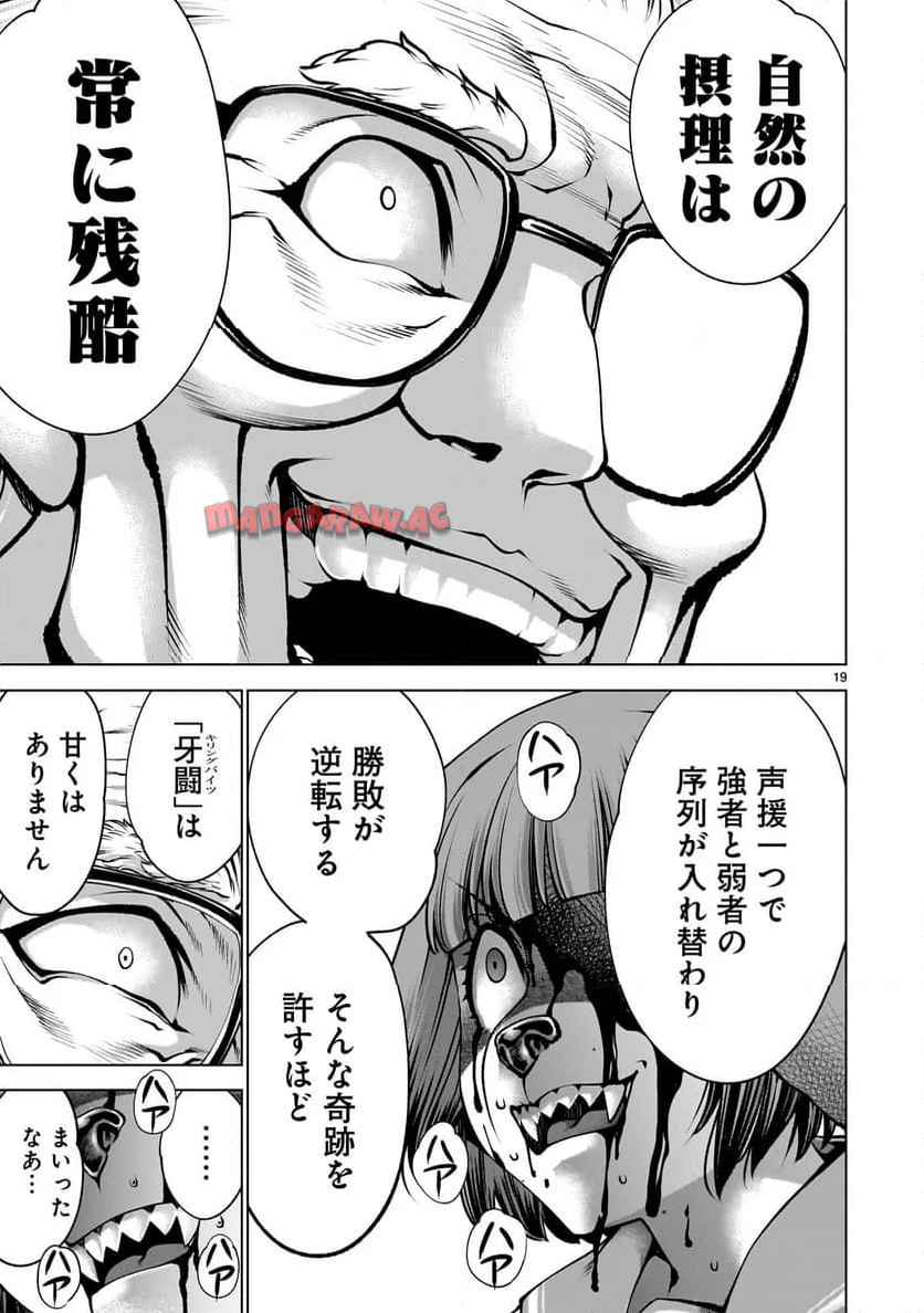 19