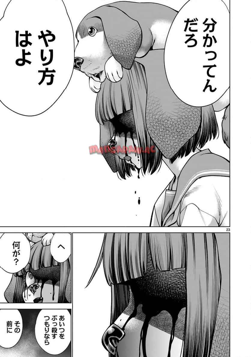 23
