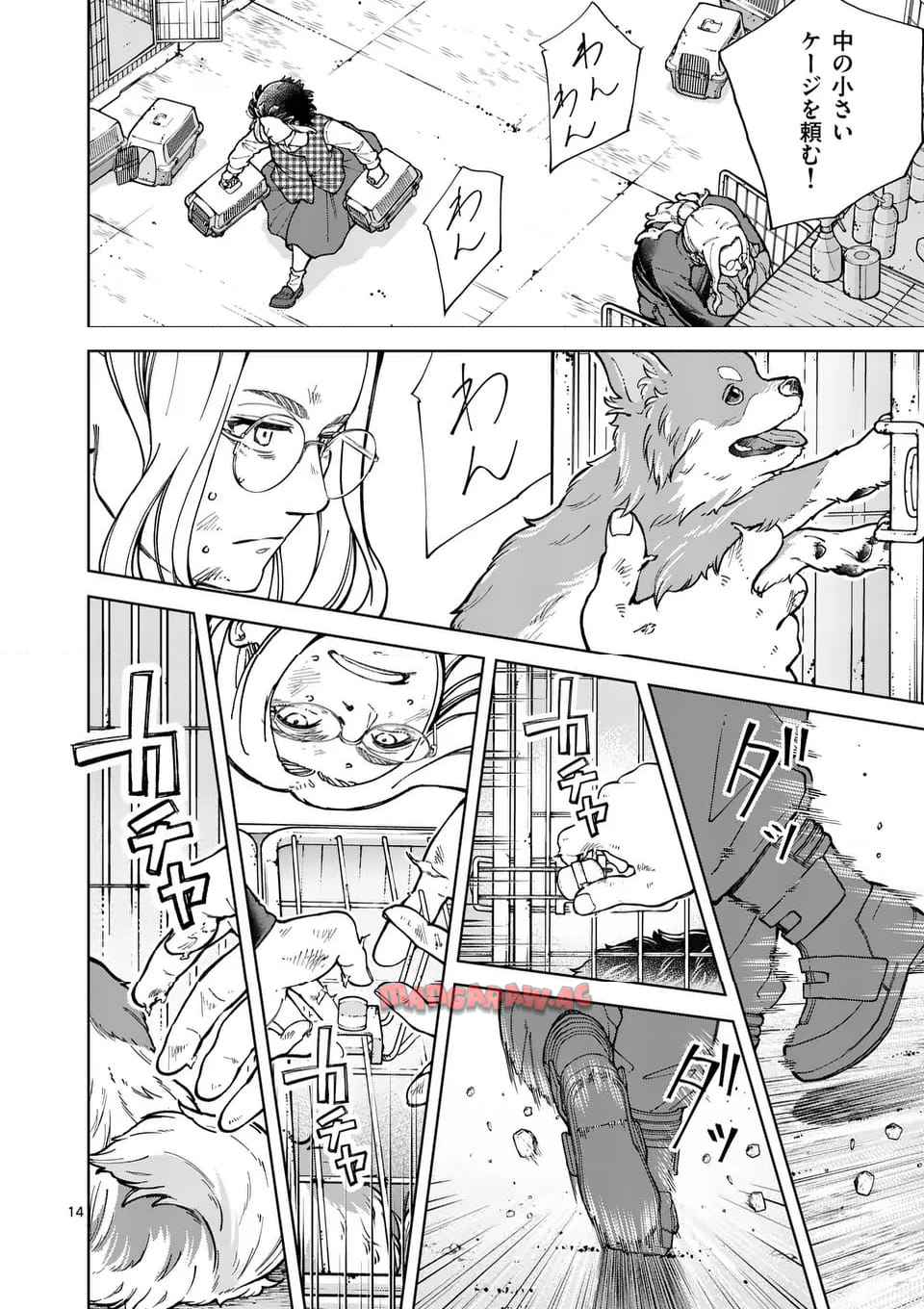 14