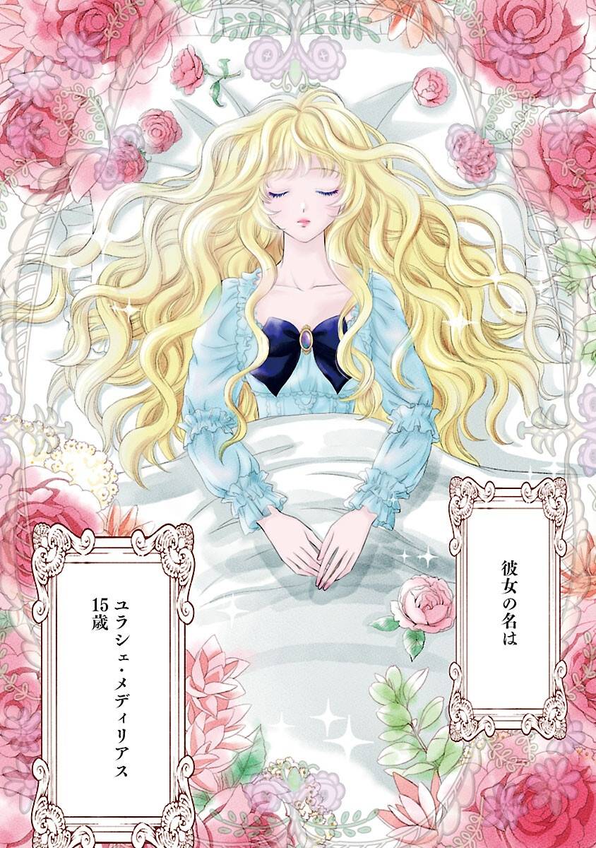 優しい婚約者の様子が変です〜お嬢様は黒髪の魔法使いに恋をする〜 第1話 - Page 5