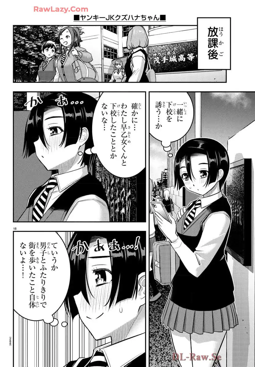 ヤンキーJKクズハナちゃん 第223話 - Page 18