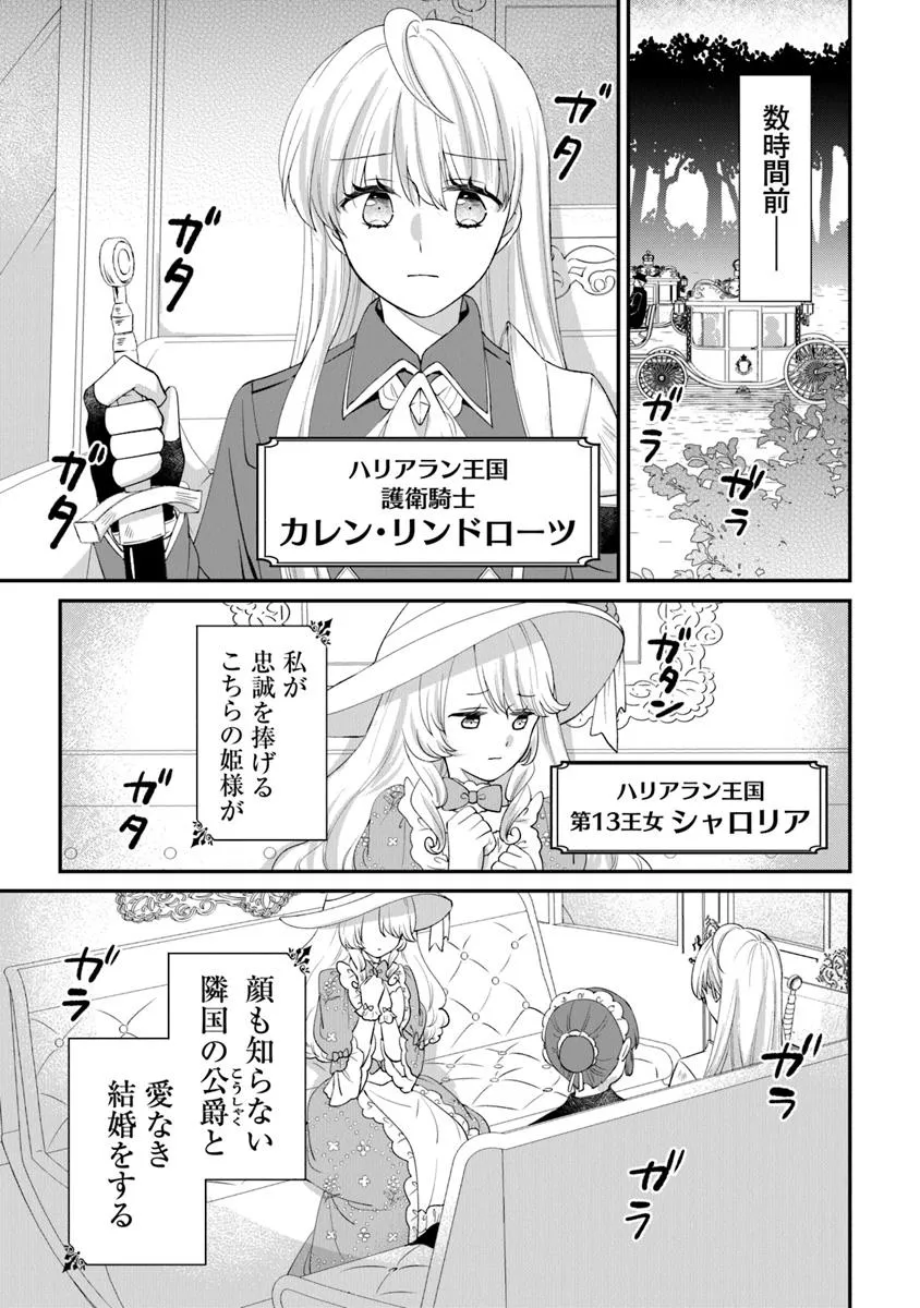 身代わり秒バレ令嬢の契約結婚なのに、騎士公爵が「絶対に離婚しない」と溺愛してくる 第1話 - Page 4