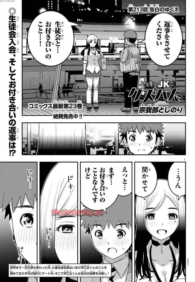 ヤンキーJKクズハナちゃん 第213話 - Page 1