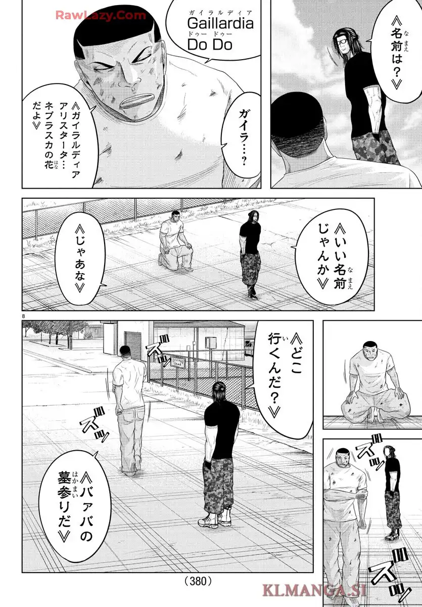 8