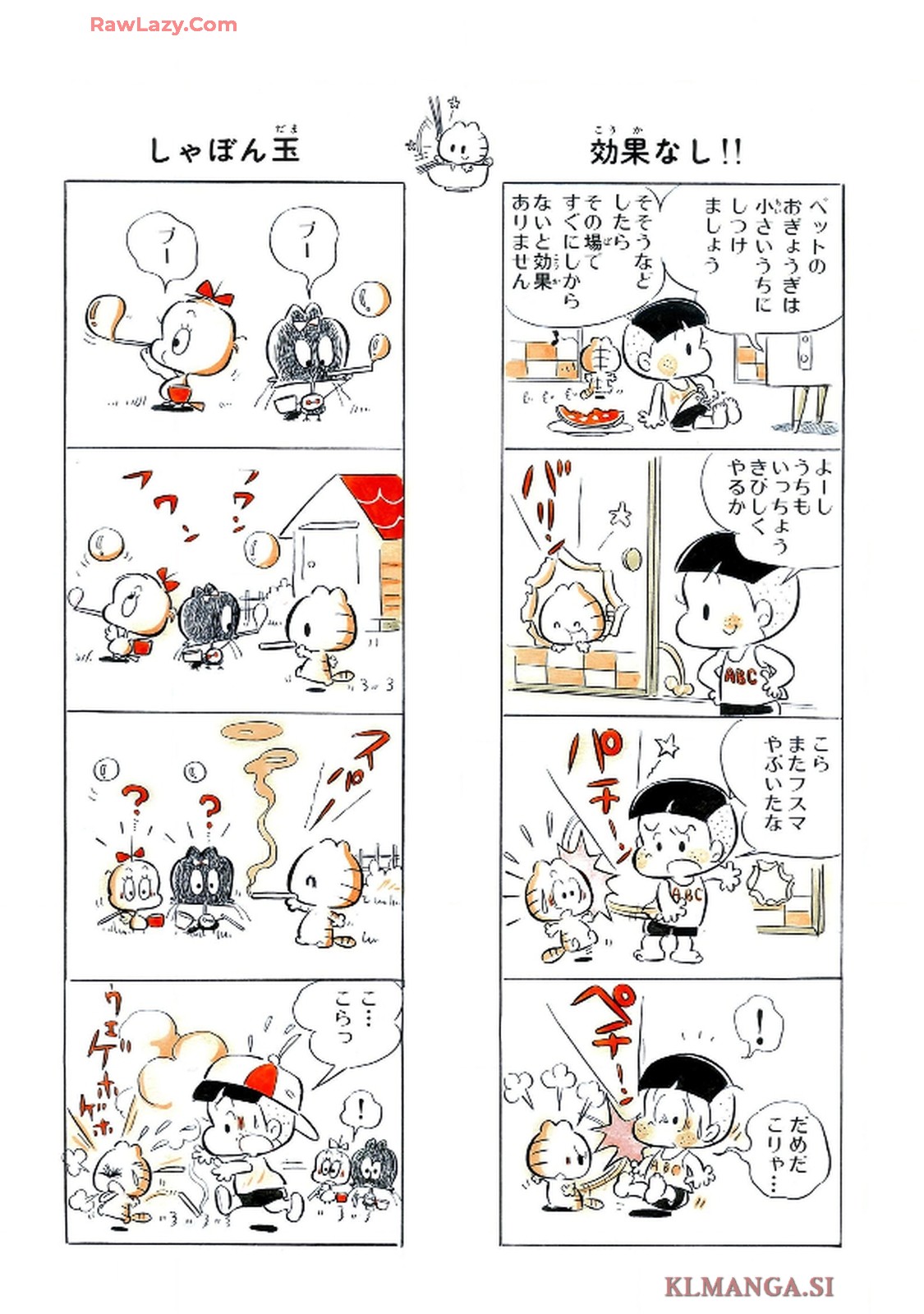 41